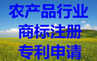 知識產(chǎn)權保護全攻略 從商標查詢到版權代理的完整指南
