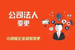 昆明商標(biāo)注冊代理公司與版權(quán)代理服務(wù)指南 保護企業(yè)知識產(chǎn)權(quán)的重要橋梁