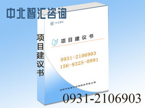 專業(yè)項目建議書撰寫與信息咨詢服務(wù)——助力蘭州項目順利啟動