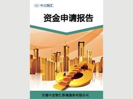 蘭州專業(yè)的項目建議書撰寫公司及甘肅信息咨詢服務(wù)推薦